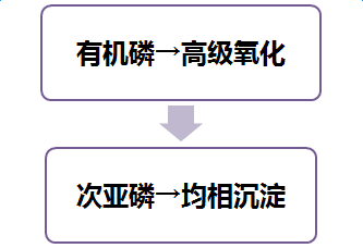 高濃度有機(jī)磷廢水如何處理|技術(shù)文檔-山東環(huán)瑞生態(tài)科技有限公司