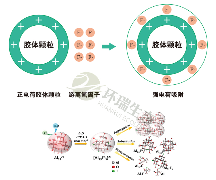 環(huán)瑞除氟劑除氟原理