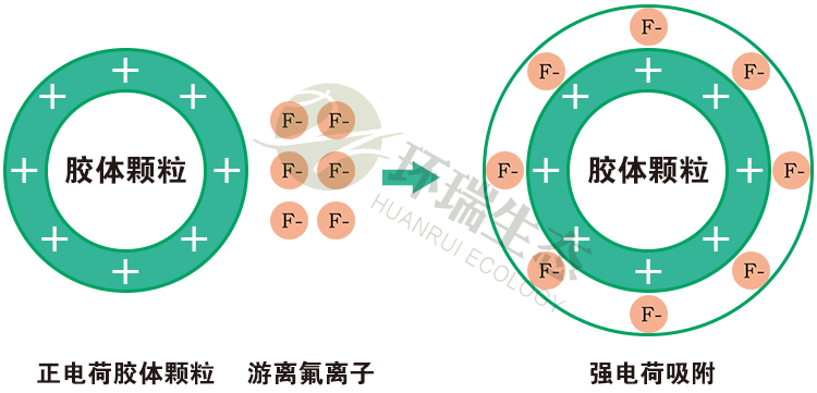 機(jī)理文章配圖.jpg